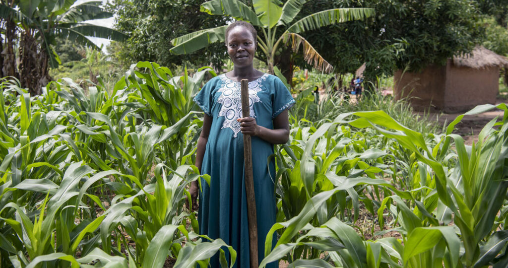 Empowering Families with Economic Opportunities