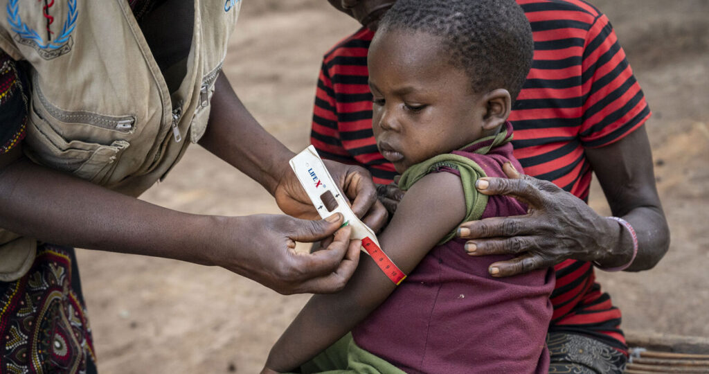 Healing Malnutrition